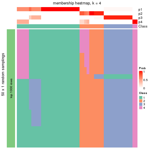 plot of chunk tab-node-013-membership-heatmap-3