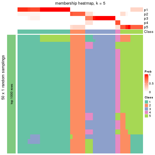 plot of chunk tab-node-013-membership-heatmap-4