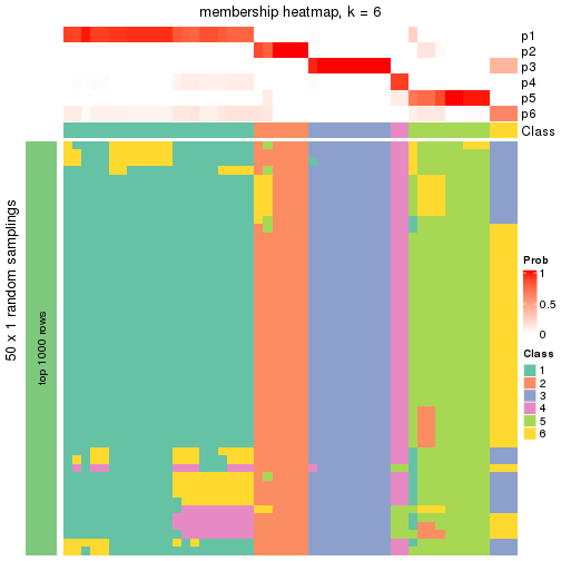 plot of chunk tab-node-013-membership-heatmap-5