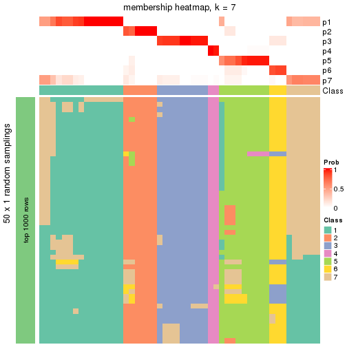 plot of chunk tab-node-013-membership-heatmap-6