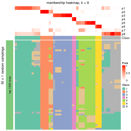 plot of chunk tab-node-013-membership-heatmap-7