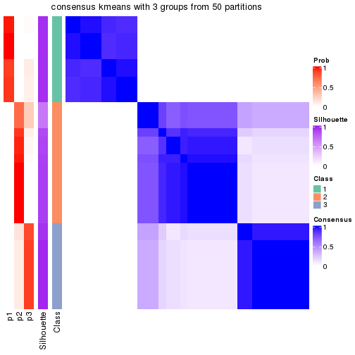 plot of chunk tab-node-0131-consensus-heatmap-2