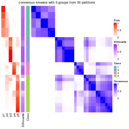 plot of chunk tab-node-0131-consensus-heatmap-4