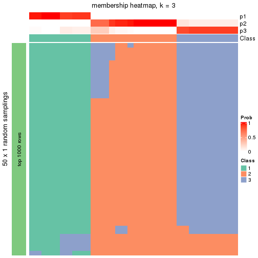 plot of chunk tab-node-0131-membership-heatmap-2