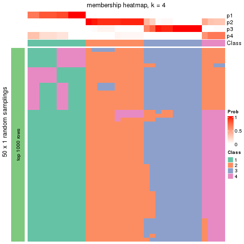 plot of chunk tab-node-0131-membership-heatmap-3