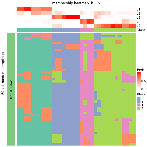 plot of chunk tab-node-0131-membership-heatmap-4