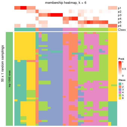 plot of chunk tab-node-0131-membership-heatmap-5