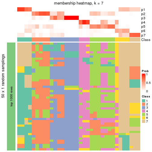 plot of chunk tab-node-0131-membership-heatmap-6