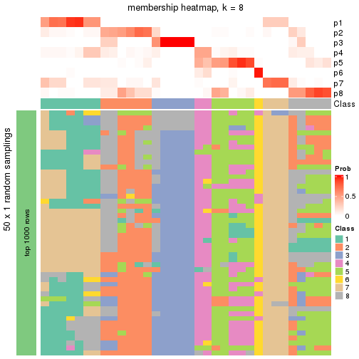 plot of chunk tab-node-0131-membership-heatmap-7