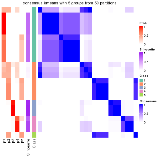 plot of chunk tab-node-01312-consensus-heatmap-4