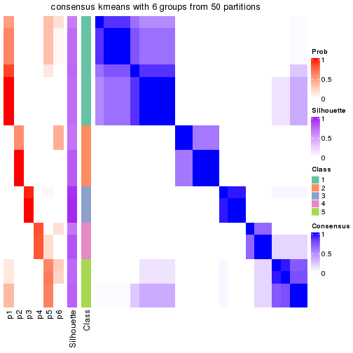 plot of chunk tab-node-01312-consensus-heatmap-5