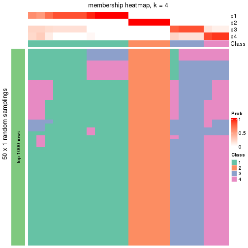 plot of chunk tab-node-01312-membership-heatmap-3