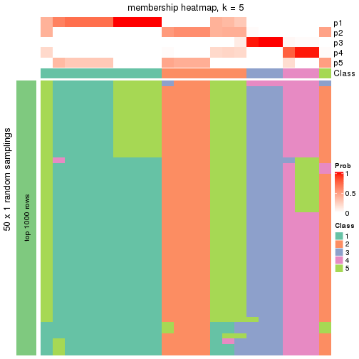 plot of chunk tab-node-01312-membership-heatmap-4