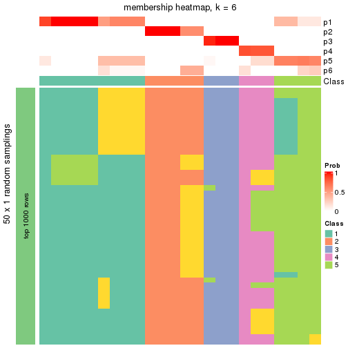 plot of chunk tab-node-01312-membership-heatmap-5