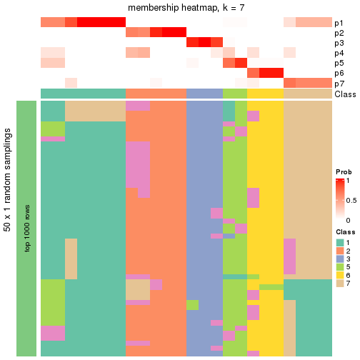 plot of chunk tab-node-01312-membership-heatmap-6