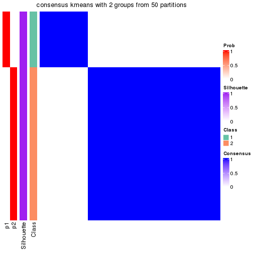 plot of chunk tab-node-02-consensus-heatmap-1