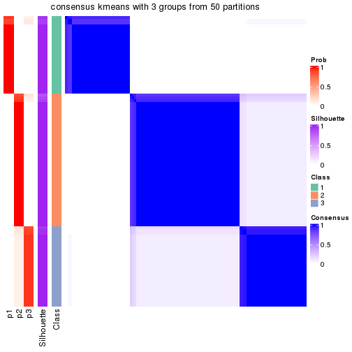 plot of chunk tab-node-02-consensus-heatmap-2