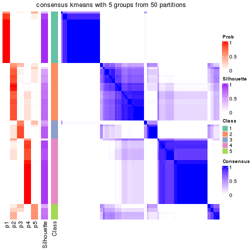 plot of chunk tab-node-02-consensus-heatmap-4