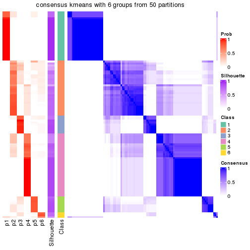 plot of chunk tab-node-02-consensus-heatmap-5