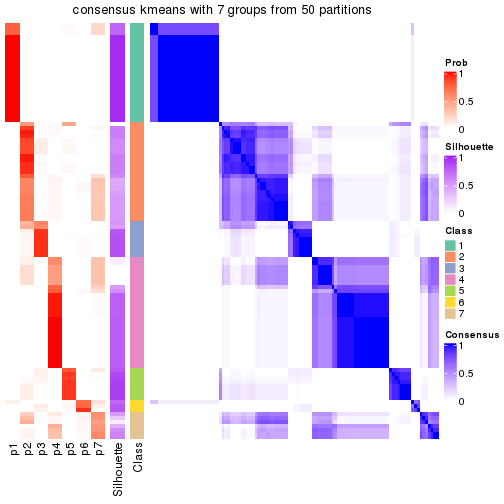 plot of chunk tab-node-02-consensus-heatmap-6