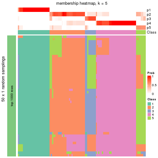 plot of chunk tab-node-02-membership-heatmap-4