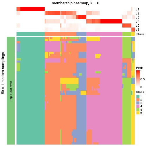 plot of chunk tab-node-02-membership-heatmap-5