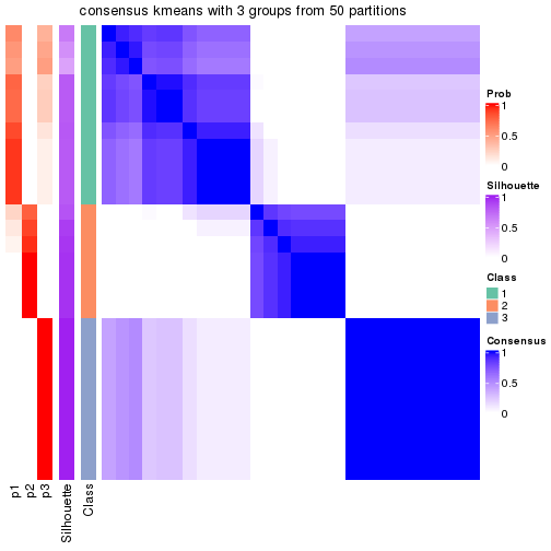 plot of chunk tab-node-021-consensus-heatmap-2