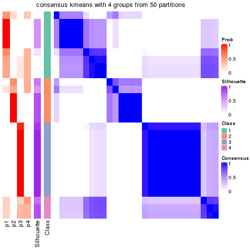 plot of chunk tab-node-021-consensus-heatmap-3