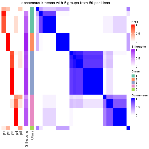 plot of chunk tab-node-021-consensus-heatmap-4