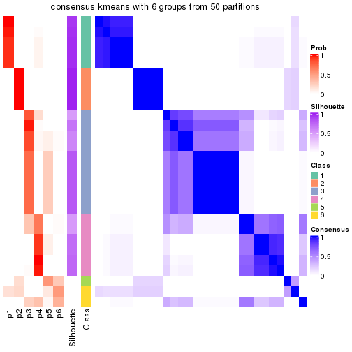 plot of chunk tab-node-021-consensus-heatmap-5