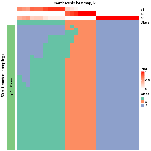 plot of chunk tab-node-021-membership-heatmap-2