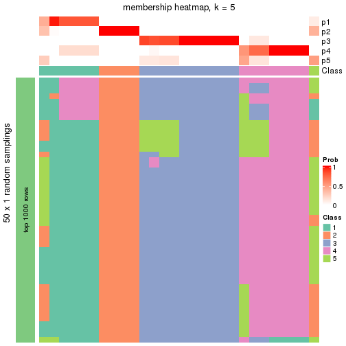 plot of chunk tab-node-021-membership-heatmap-4