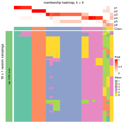 plot of chunk tab-node-021-membership-heatmap-5