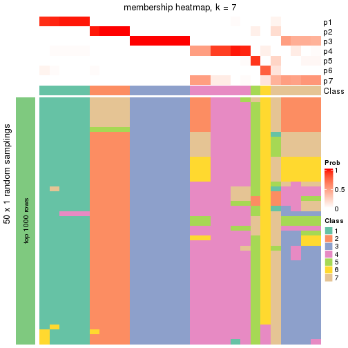 plot of chunk tab-node-021-membership-heatmap-6