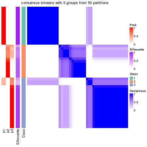 plot of chunk tab-node-022-consensus-heatmap-2