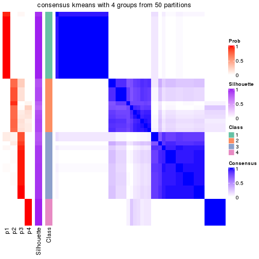 plot of chunk tab-node-022-consensus-heatmap-3