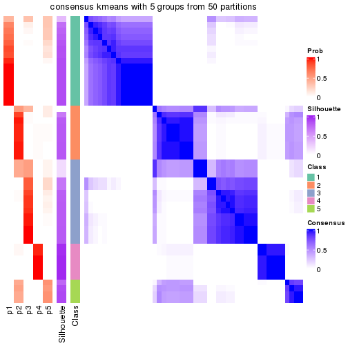 plot of chunk tab-node-022-consensus-heatmap-4