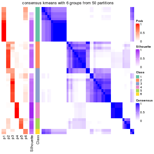 plot of chunk tab-node-022-consensus-heatmap-5