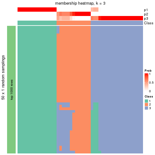 plot of chunk tab-node-022-membership-heatmap-2