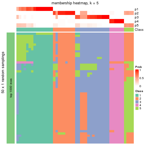 plot of chunk tab-node-022-membership-heatmap-4