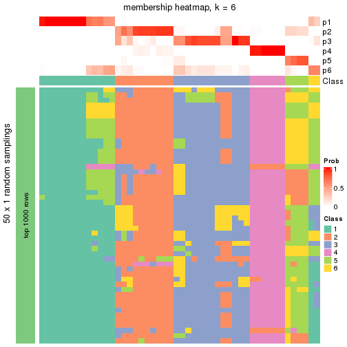 plot of chunk tab-node-022-membership-heatmap-5