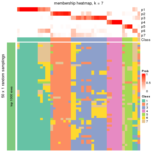 plot of chunk tab-node-022-membership-heatmap-6