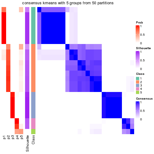 plot of chunk tab-node-0222-consensus-heatmap-4