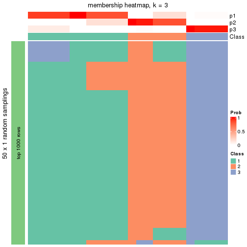 plot of chunk tab-node-0222-membership-heatmap-2