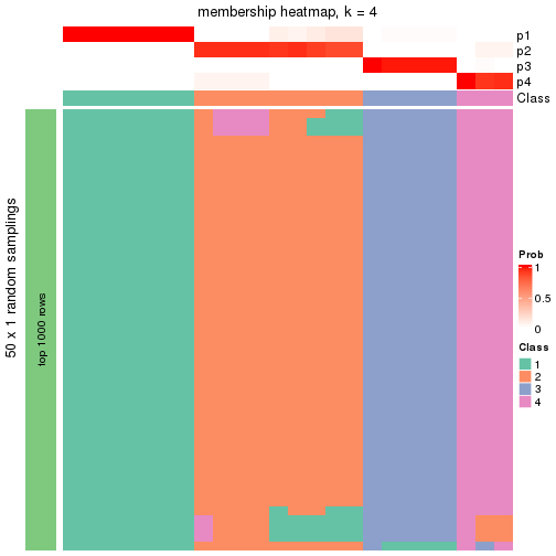 plot of chunk tab-node-0222-membership-heatmap-3