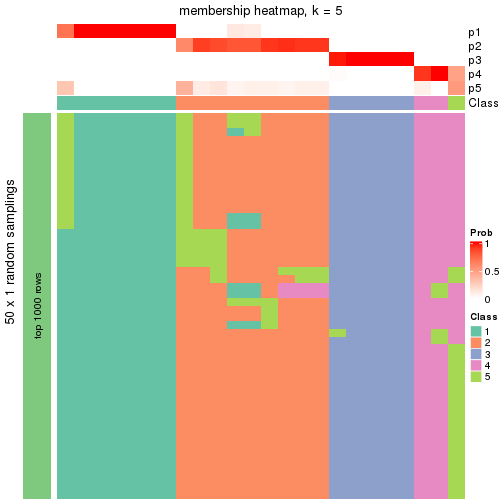 plot of chunk tab-node-0222-membership-heatmap-4