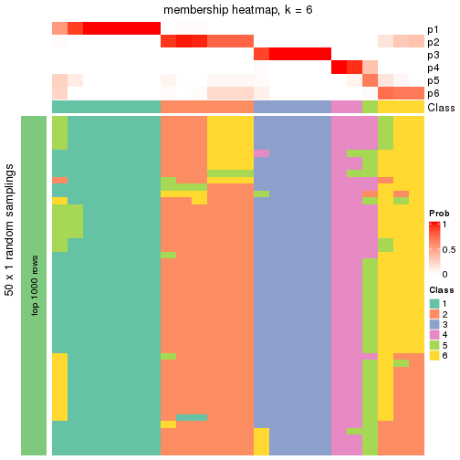 plot of chunk tab-node-0222-membership-heatmap-5