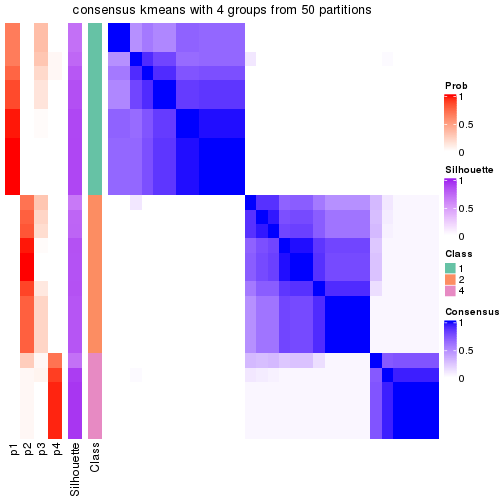 plot of chunk tab-node-023-consensus-heatmap-3