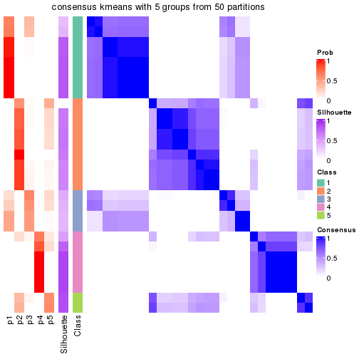 plot of chunk tab-node-023-consensus-heatmap-4