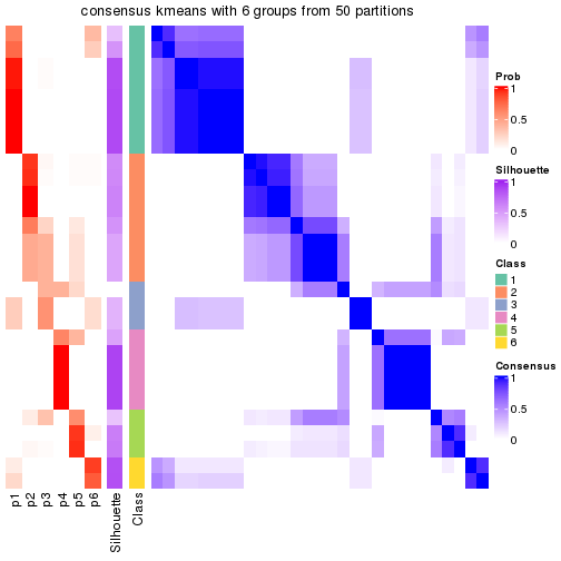 plot of chunk tab-node-023-consensus-heatmap-5